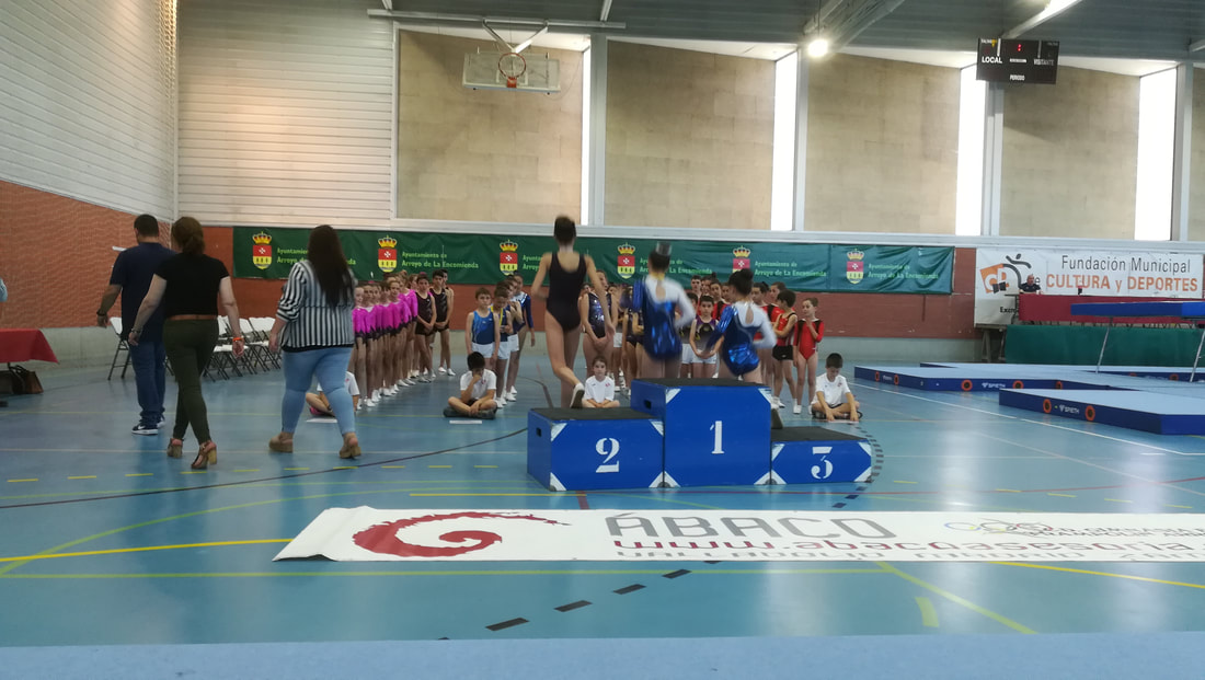 Noticias Trampolin 2018 19 Club Gimnasia Burgos